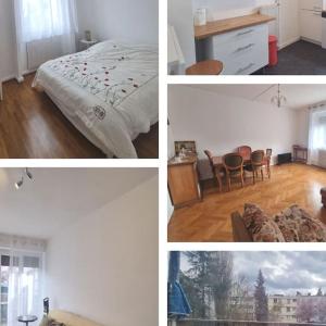 Appartements So Cosy Home Paris-Sceaux/Bourg-la-Reine. : photos des chambres