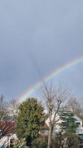 Appartements So Cosy Home Paris-Sceaux/Bourg-la-Reine. : photos des chambres