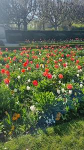 Appartements So Cosy Home Paris-Sceaux/Bourg-la-Reine. : photos des chambres