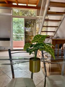 Depto 8 - Villa Carlos Paz