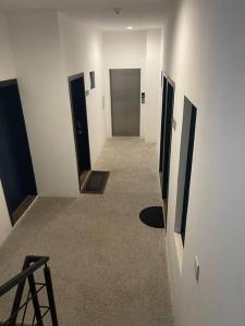 D´Carlo Comodidad, Elegancia y Ubicación.