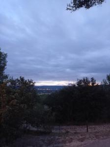 Les Cigales