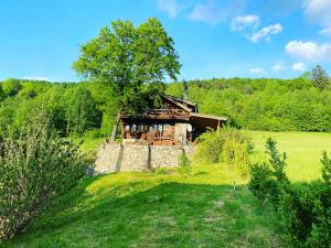 Cabana vânătorului