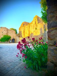 Appartements LE CLOS DE LORE : photos des chambres