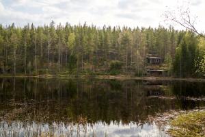 Rantasaunallinen yksiö