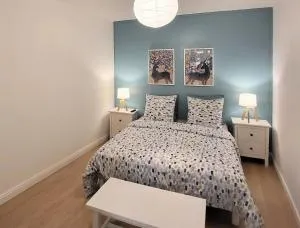 Appartement 1 Chambre, cuisine, coin salon, salle de bain - Septmoncel