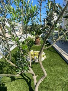 Apartman Danijela
