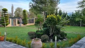 Silver Cool Raches - Kouvéla