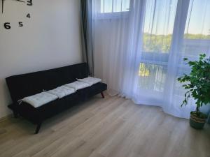 Apartament Park Saski