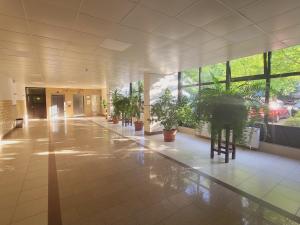 Apartament Park Saski