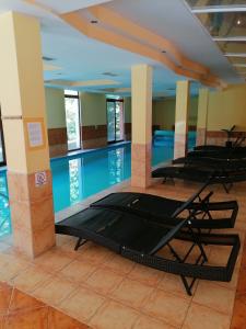 Ildikó Wellnes Apartman