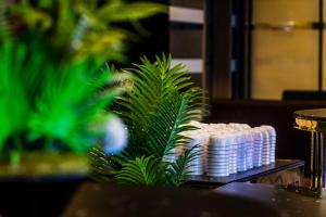 Hotel Aryavilas-A Luxury Boutique Hotel