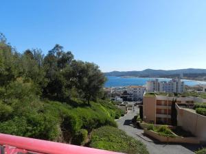 Appartements Appartement Le Lavandou, 3 pieces, 6 personnes - FR-1-713-50 : photos des chambres