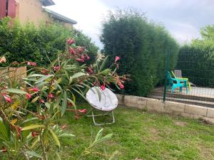 Maisons de vacances maison paisible au coeur d'Albi : photos des chambres