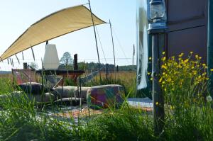 Dzika Jurta na Łebkach