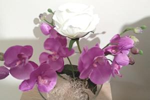 Theanos Cozy & Quiet Lux Central Flat - Wifi & full Amenities