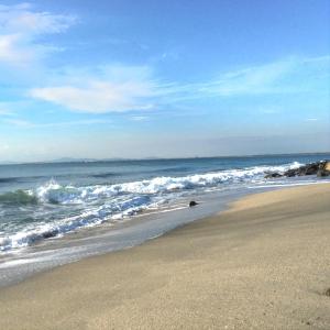 Marina Cape surprise studio