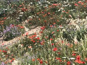 Appartamenti Perego img63