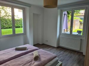 Gartenwohnung im Zentrum von ViraGamborogno