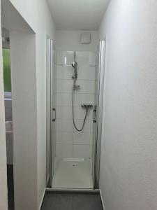 Gartenwohnung im Zentrum von ViraGamborogno