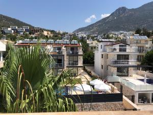 Stone House Aparts 1 plus 1 mit Poolterrasse Kalkan No 1