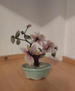 Apartment Klara