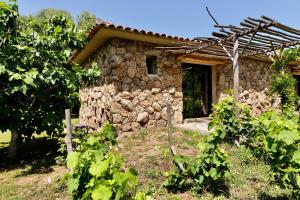 Auberges Domaine Pozzo di Mastri : photos des chambres