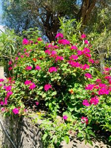 Isabella Paxos Holidays