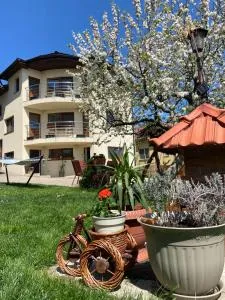 Casa Ana Cluj - Săliştea Veche