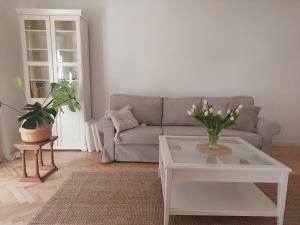 Apartament Biała Orchidea  z tarasem i widokiem na ogród i las