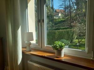 Apartament Biała Orchidea z tarasem i widokiem na ogród i las