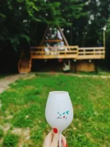 CabanaAframe intreaga proprietate - Zigoneni