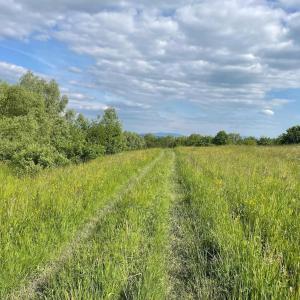 Domki na Górniej Łące - Domek Górny