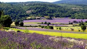 Entre Vignes et Collines