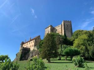 Maisons de vacances La Chapellerie - a splendid, spacious house for 8 : photos des chambres