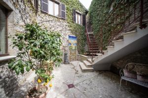 Domus Fontis Pescaia