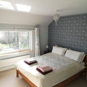 Hide on the Hill Cottage