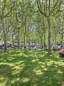 Chalets Les gites de L'Isle Jourdain : photos des chambres