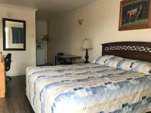 Grassland Motel - Grassland