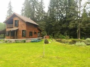 Lotus chalet - 伊兹沃鲁穆列什鲁伊