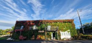 B&B / Chambres d'hotes Domaine des Pecheries : photos des chambres