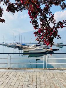 Casa vacanze il pettirosso.