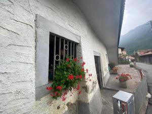 Casa vacanze il pettirosso.