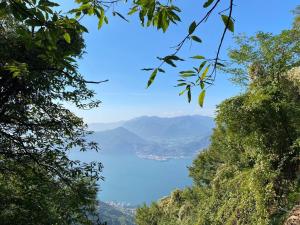 Casa vacanze il pettirosso.