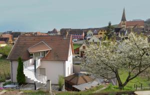 Appartements Les Glycines du Sommerberg : photos des chambres