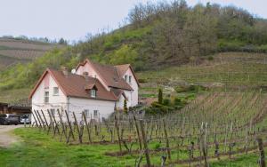 Appartements Les Glycines du Sommerberg : photos des chambres