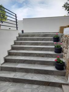 Apartment Senka 