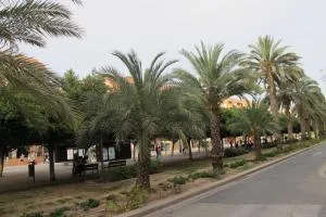 Apartamento en Ani - Ciudad Jardín