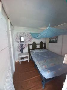 Playa Tortuga Cabaña