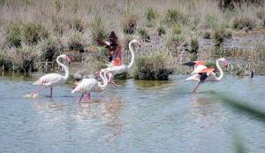 Casa vacanze “Dolce sosta” img52